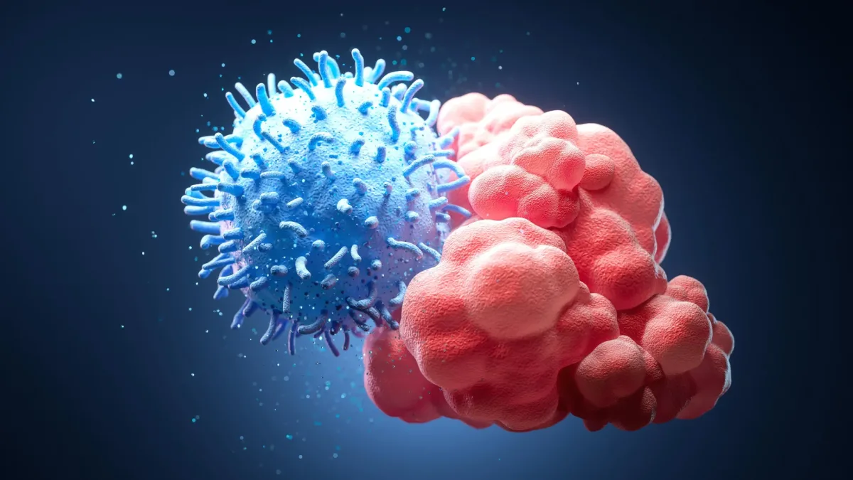 Immune T cells sense tissue stiffness, McGill study finds