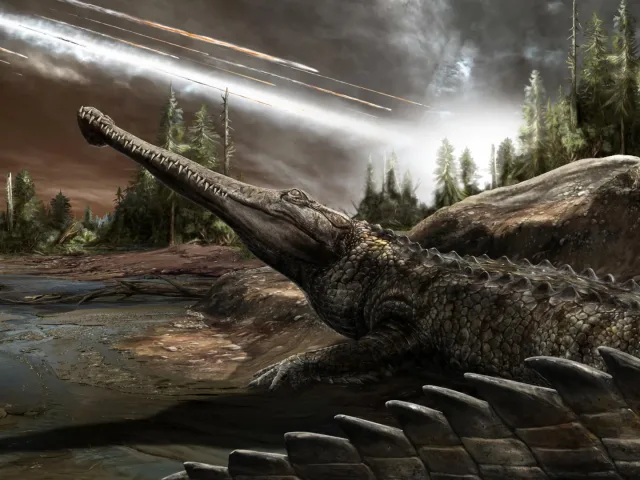 Crocodiles followed the warmth and outlasted the asteroid, fossils suggest
